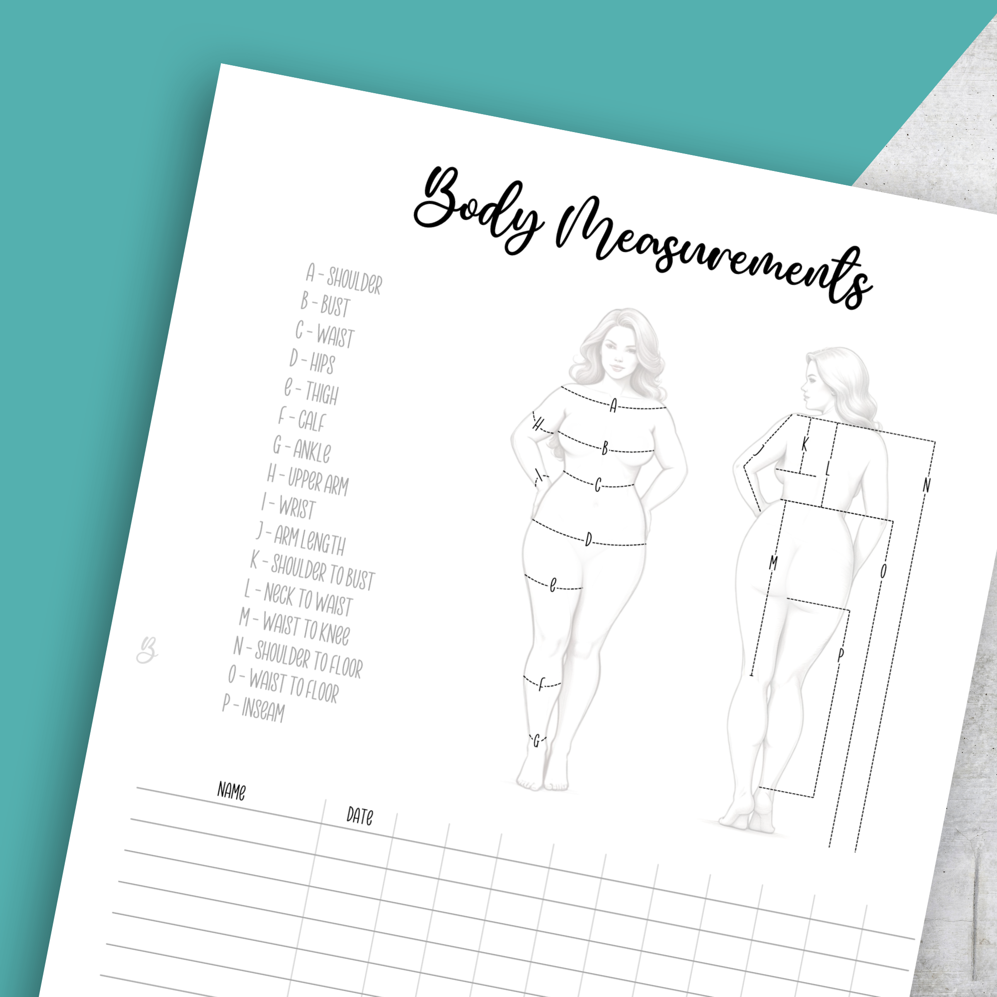 Body Measurements No2, Classic Size Insert
