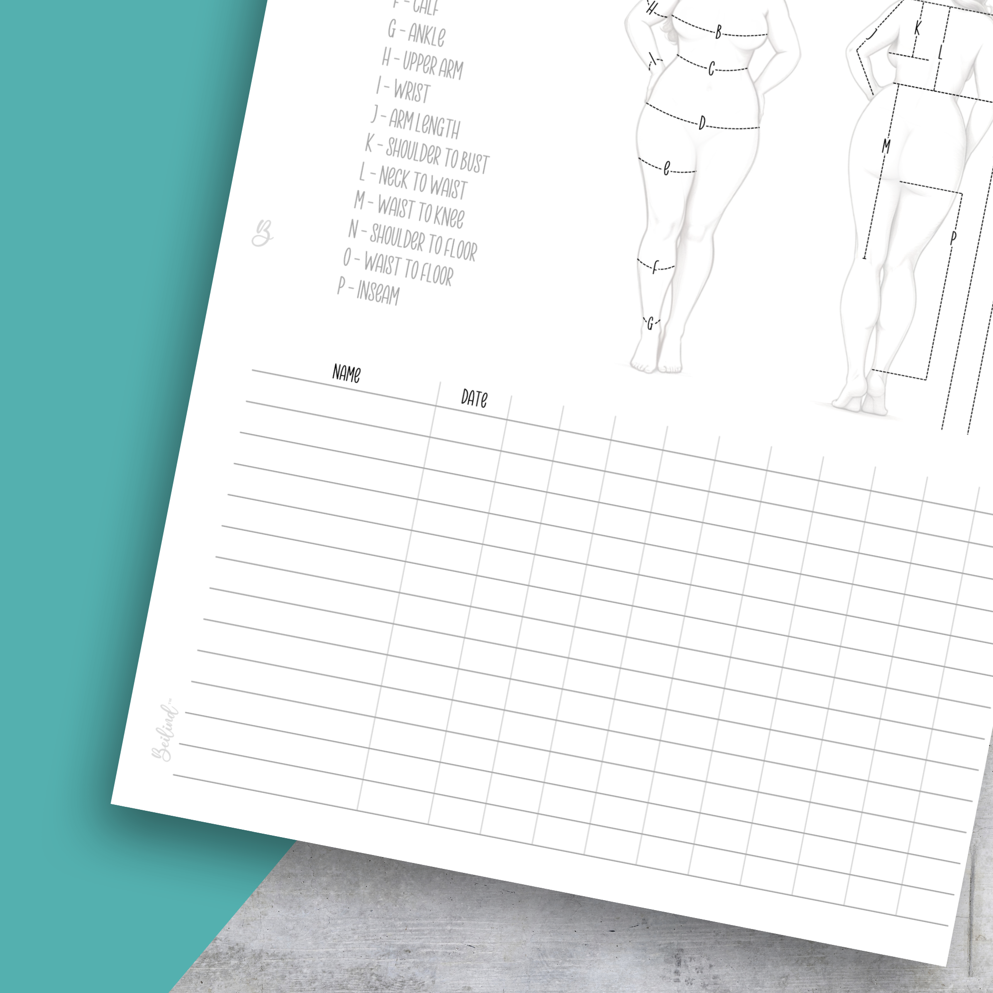 Body Measurements No2, Classic Size Insert
