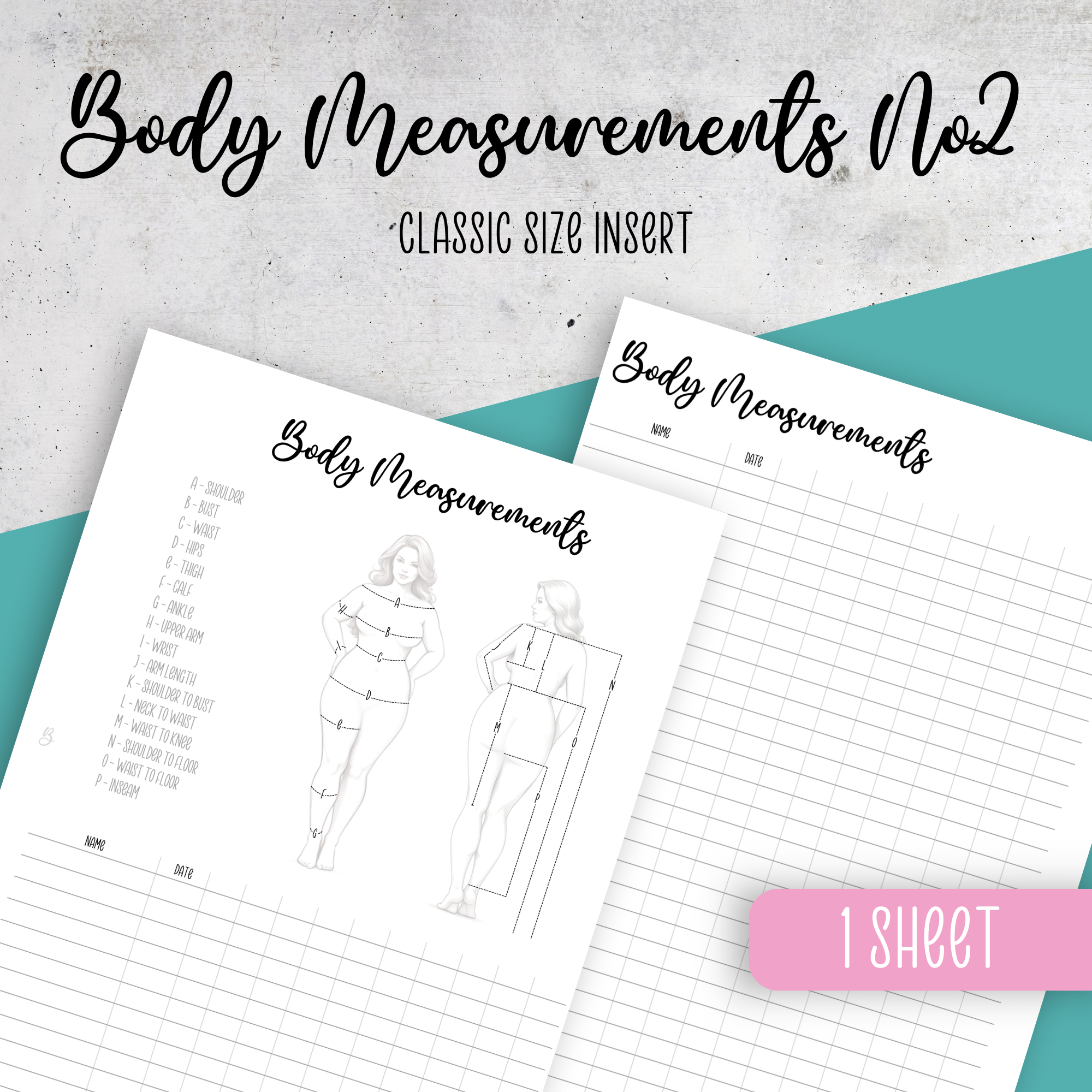 Body Measurements No2, Classic Size Insert