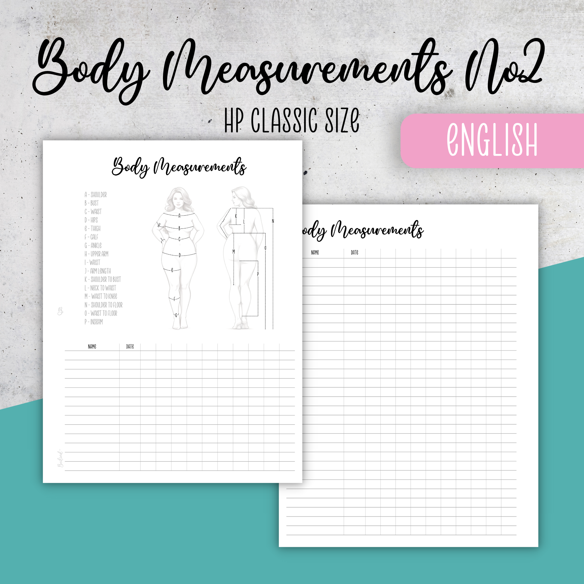 Body Measurements No2, Classic Size Insert