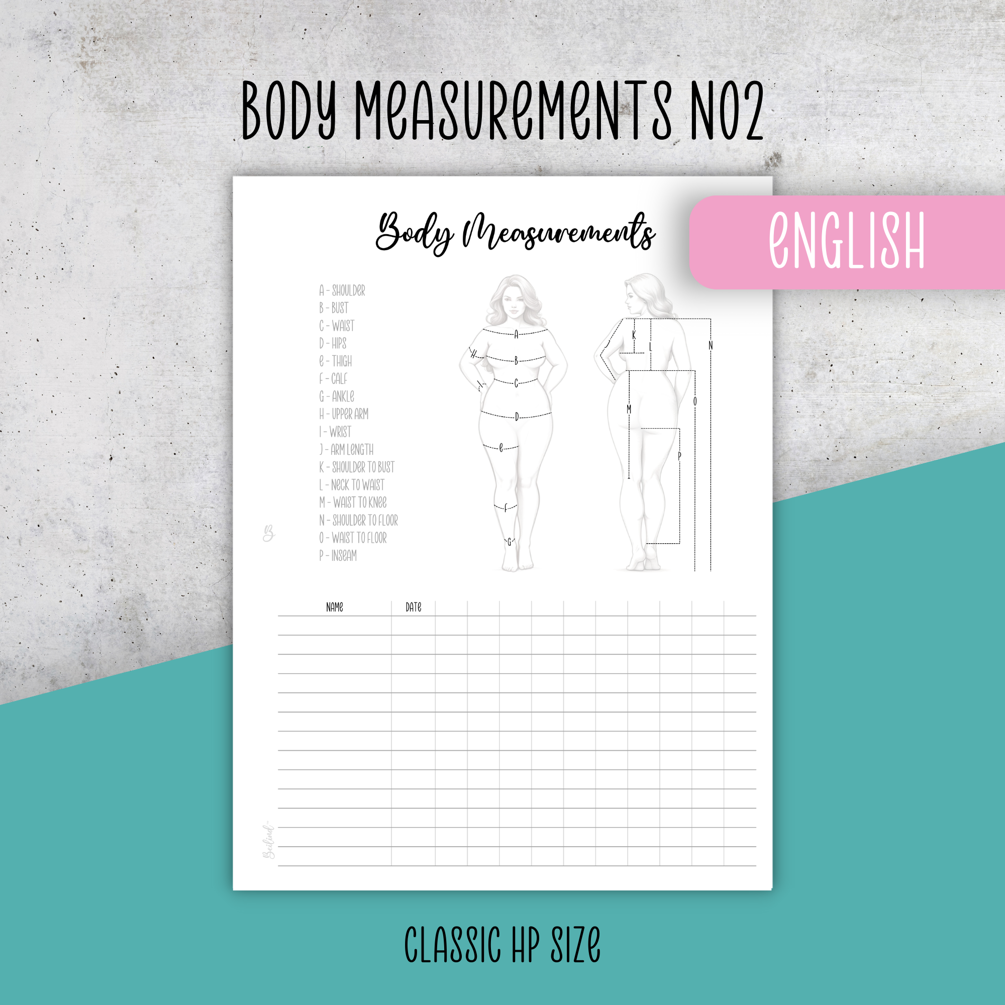 Body Measurements No2, Classic Size Insert